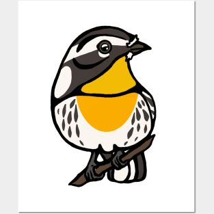 Yellow-Throated Warbler Graphic Posters and Art